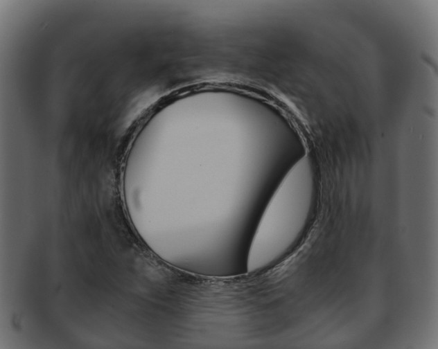 X0000091961263200709061053