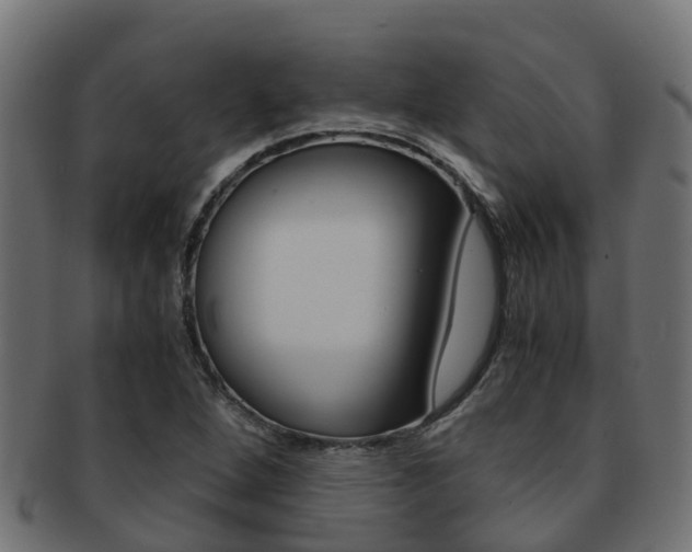 X0000091961264200709061052