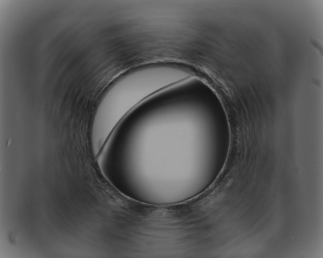X0000091961265200709061052