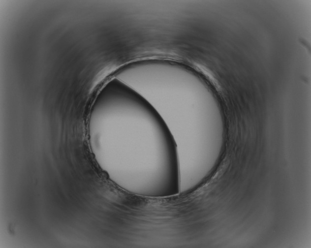 X0000091961267200709061052