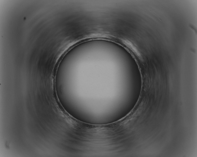 X0000091961268200709061052
