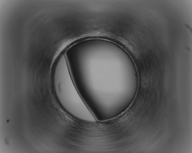 X0000091961270200709061052