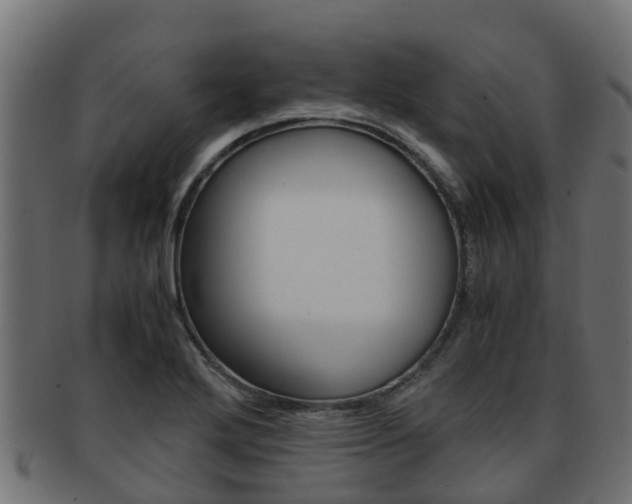 X0000091961272200709061052
