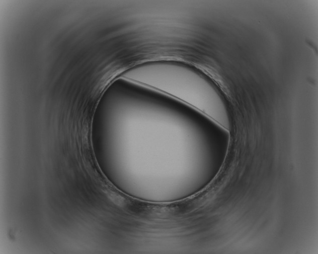 X0000091961273200709061052