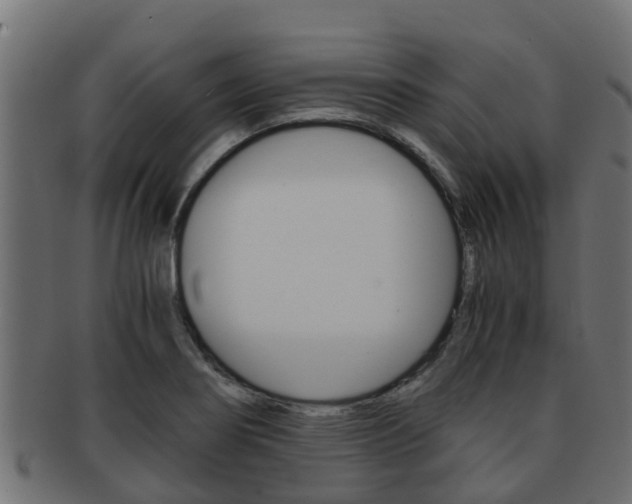 X0000091961274200709061052