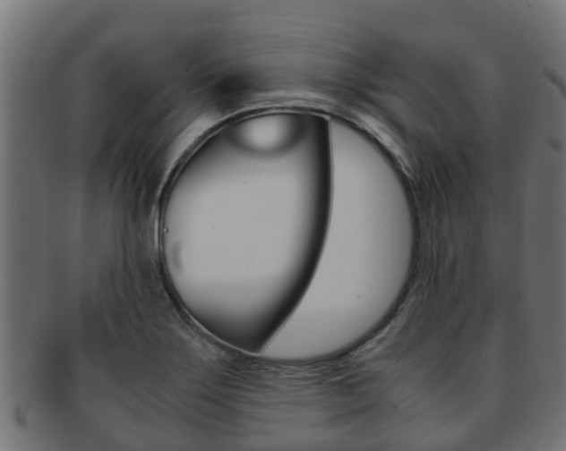 X0000091961275200709061052