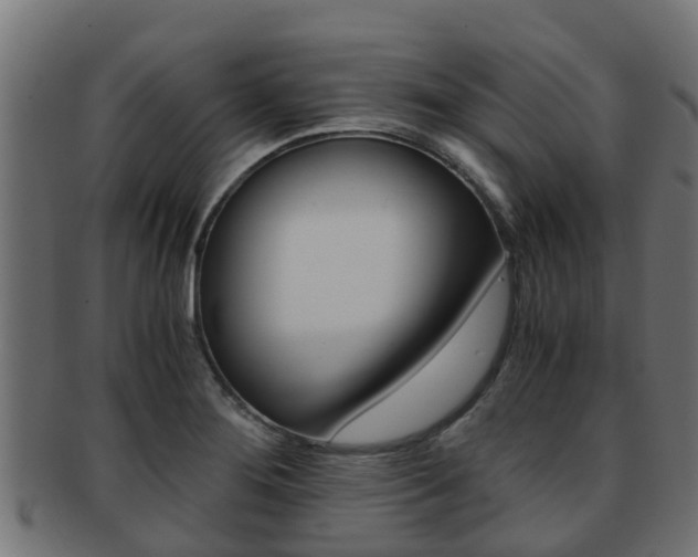 X0000091961276200709061052