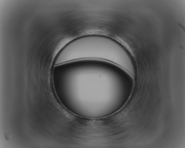 X0000091961277200709061052