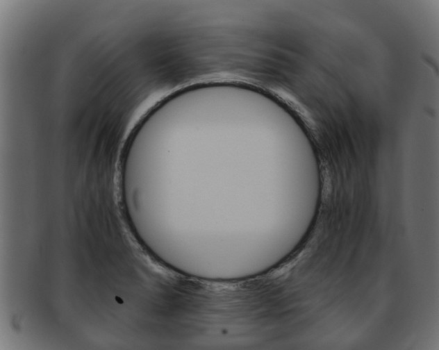 X0000091961278200709061052