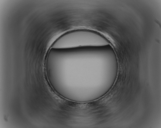 X0000091961279200709061052