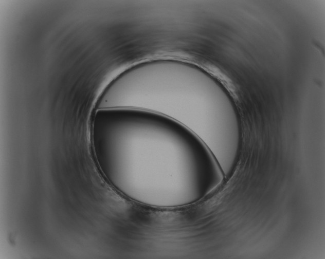 X0000091961280200709061052
