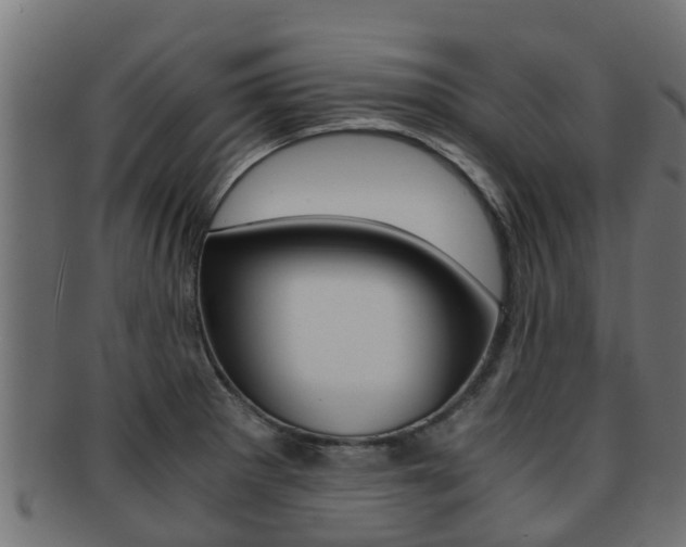 X0000091961281200709061052