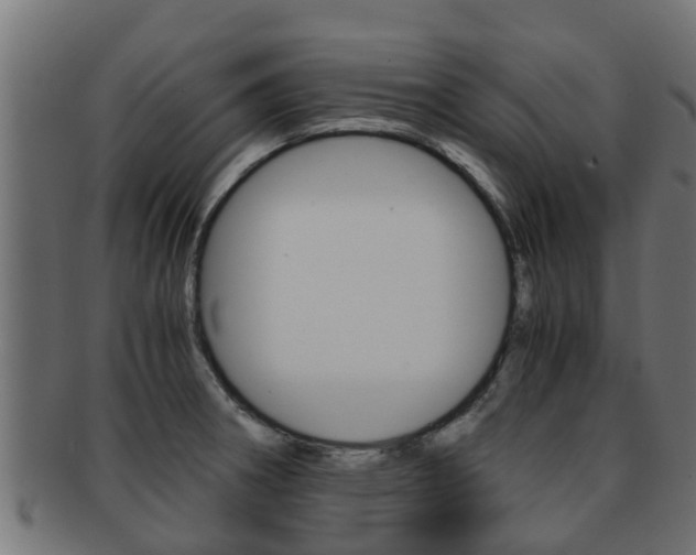 X0000091961282200709061052