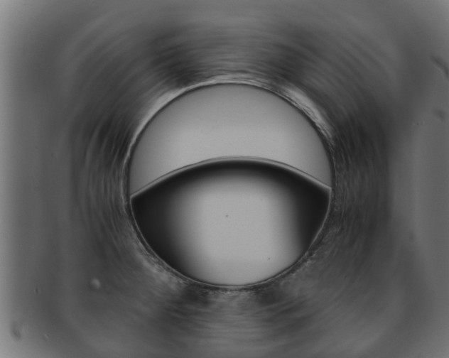 X0000091961284200709061052