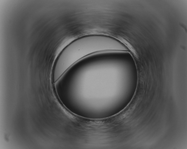 X0000091961285200709061052