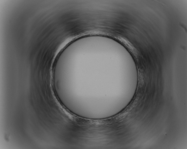 X0000091961286200709061052