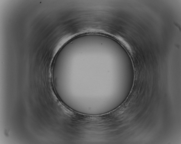 X0000091961287200709061052