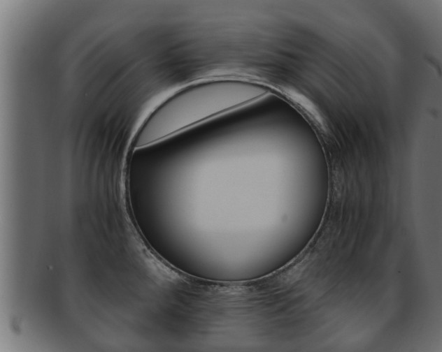 X0000091961288200709061052