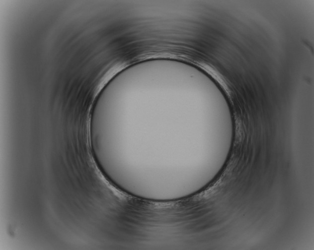 X0000091961290200709061052
