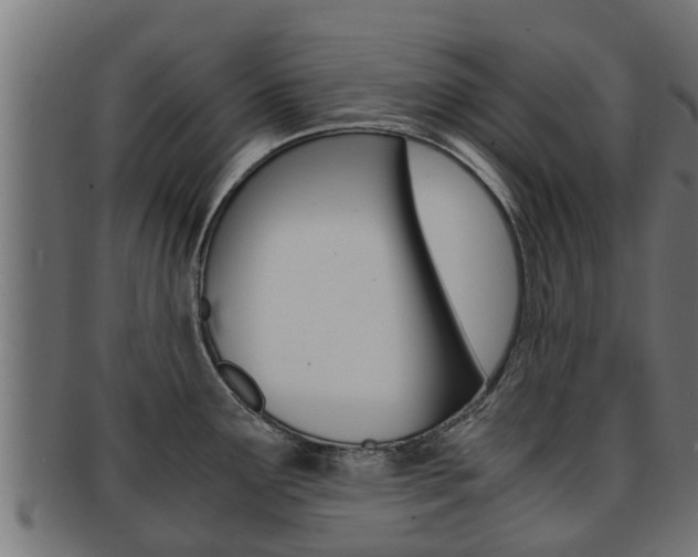 X0000091961291200709061052