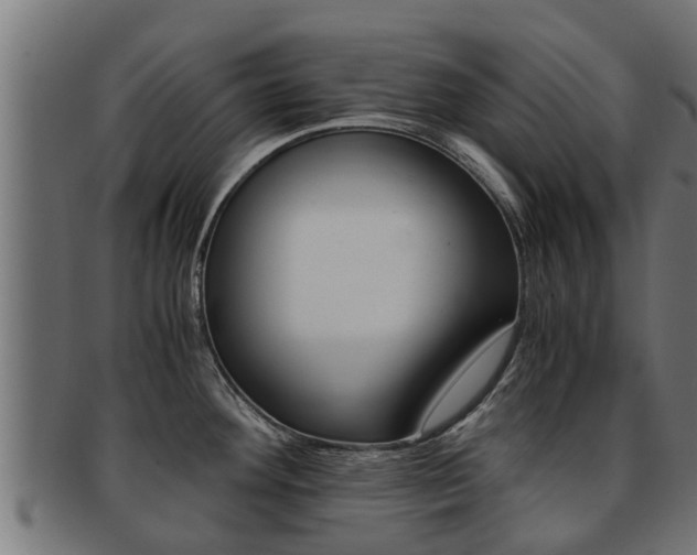 X0000091961292200709061052