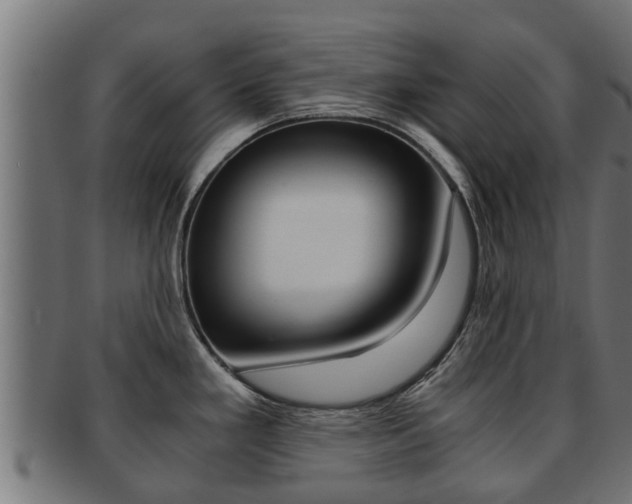 X0000091961293200709061052