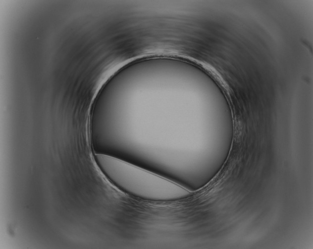 X0000091961295200709061052
