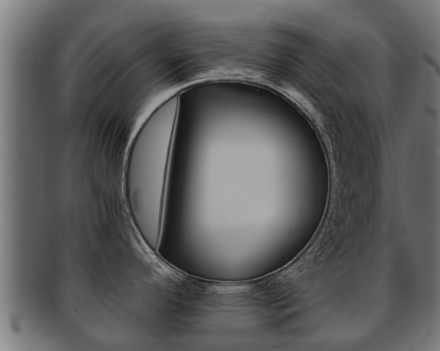 X0000091961296200709061052