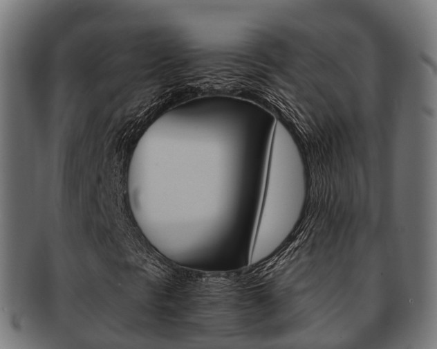 X0000091961297200709061051