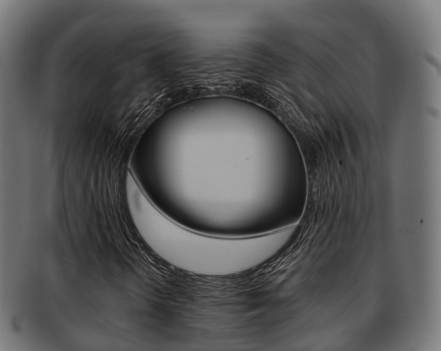 X0000091961298200709061051