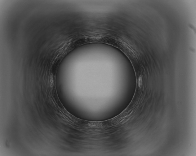 X0000091961299200709061051