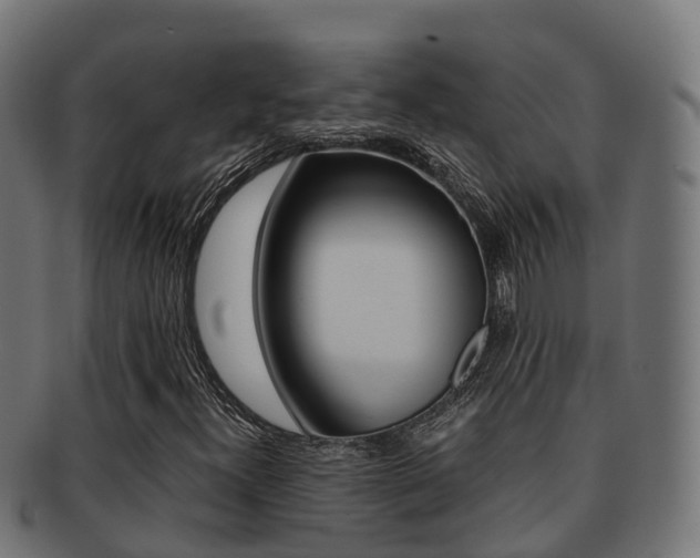 X0000091961300200709061051