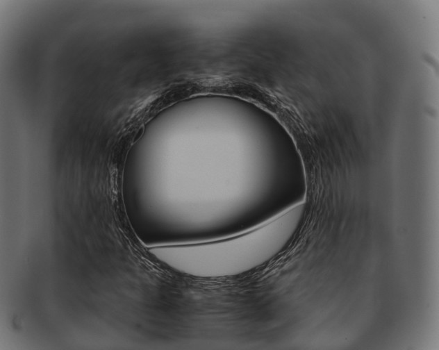 X0000091961301200709061051