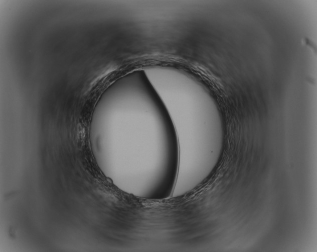 X0000091961302200709061051