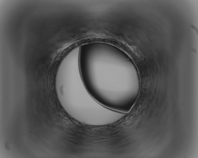 X0000091961303200709061051