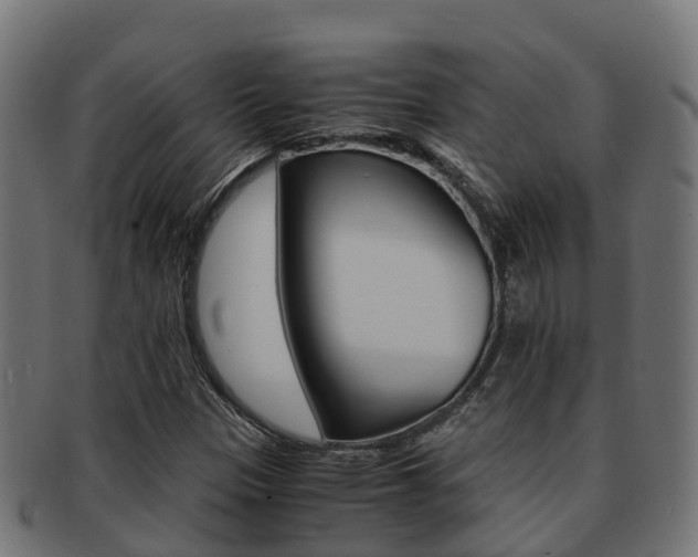 X0000091961305200709061051