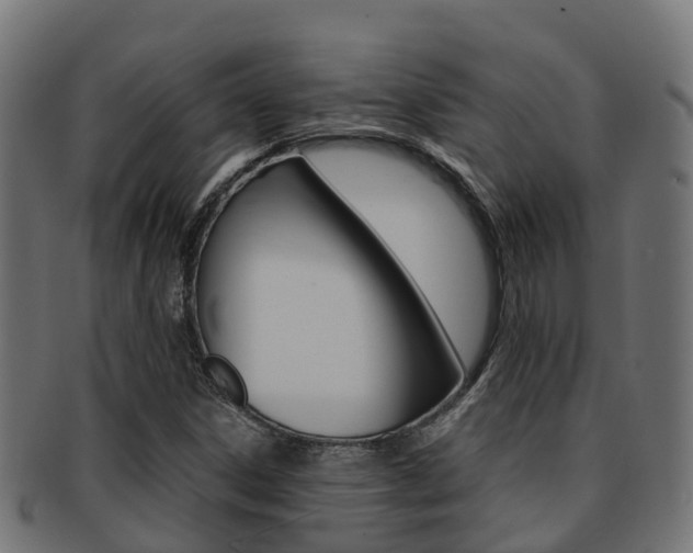 X0000091961306200709061051