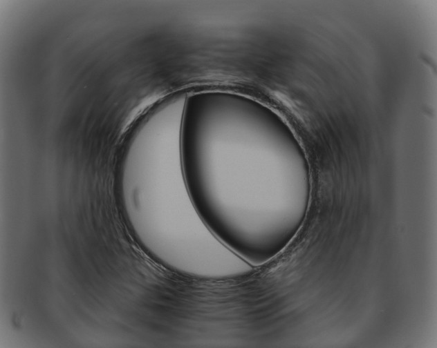 X0000091961307200709061052