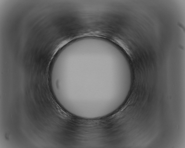 X0000091961308200709061052