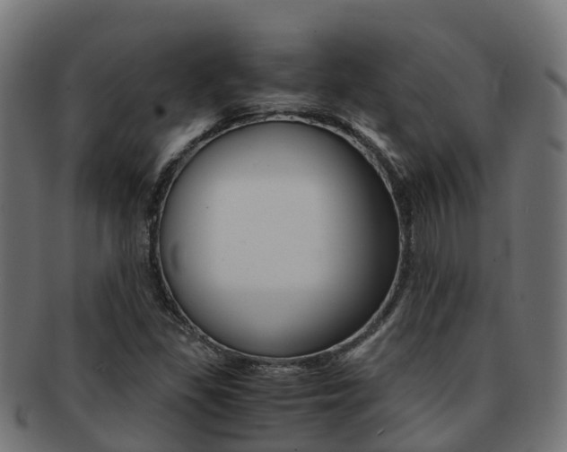 X0000091961309200709061052