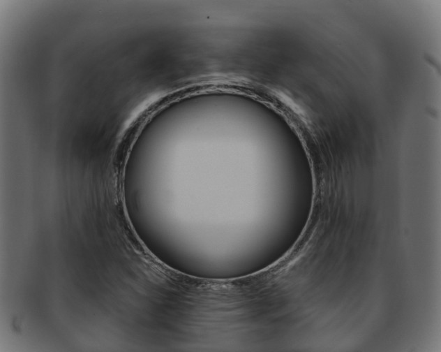 X0000091961310200709061052