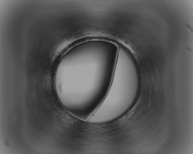X0000091961311200709061052