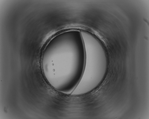 X0000091961312200709061052
