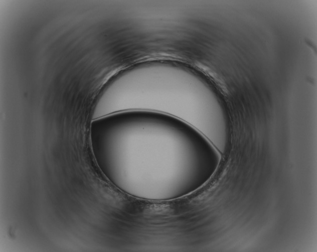 X0000091961313200709061052