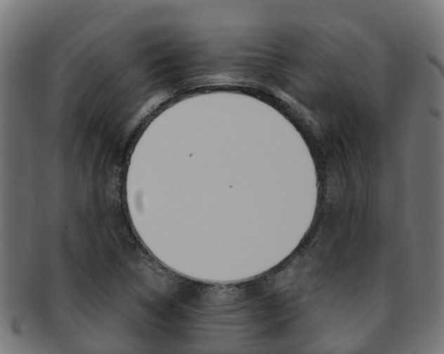 X0000091961314200709061052