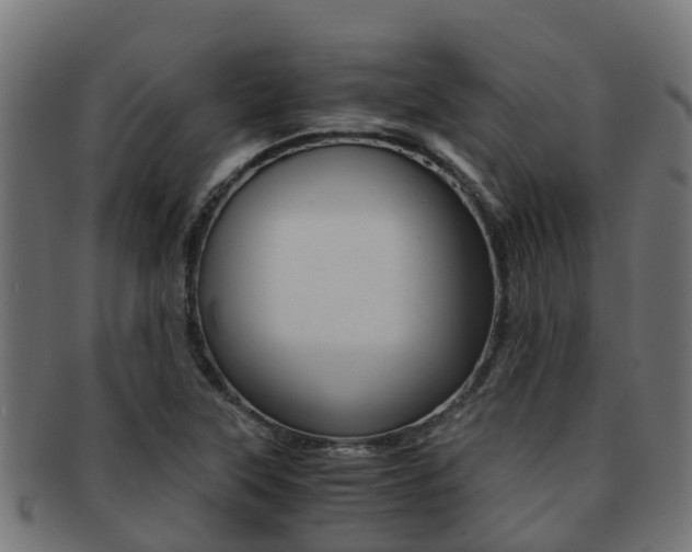 X0000091961315200709061052