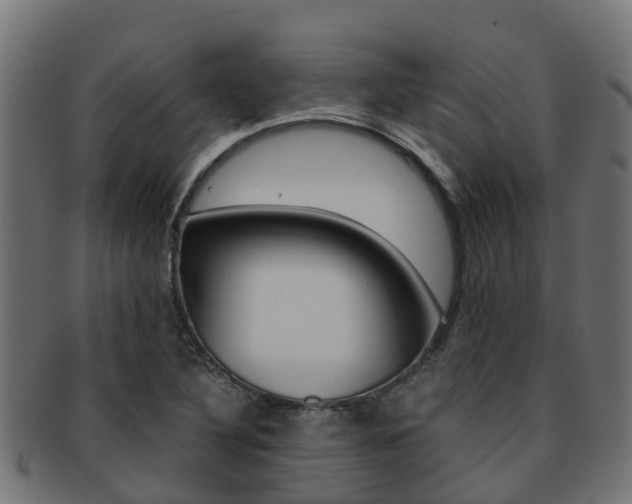 X0000091961316200709061052