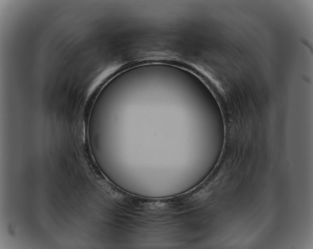 X0000091961317200709061052