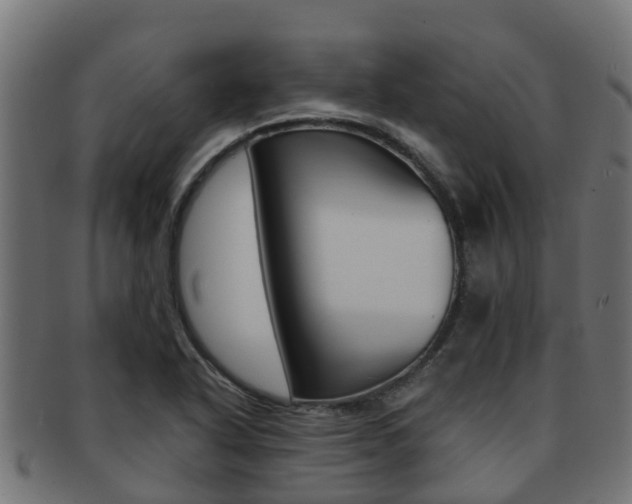 X0000091961318200709061052