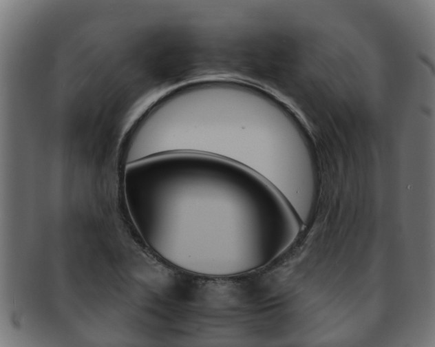 X0000091961319200709061052